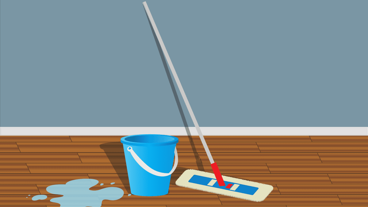 Significance Of Professional Home Cleaning